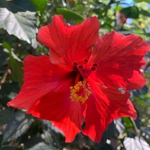 Meet your Posher, Lanaiya